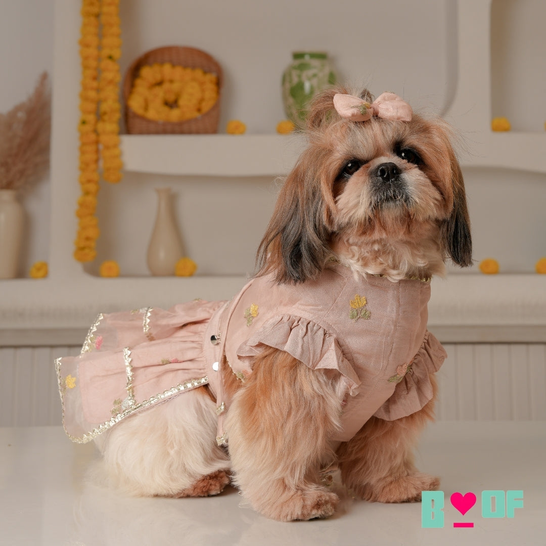 DAINTY FLORAL DUSKY PINK DOG LEHENGA