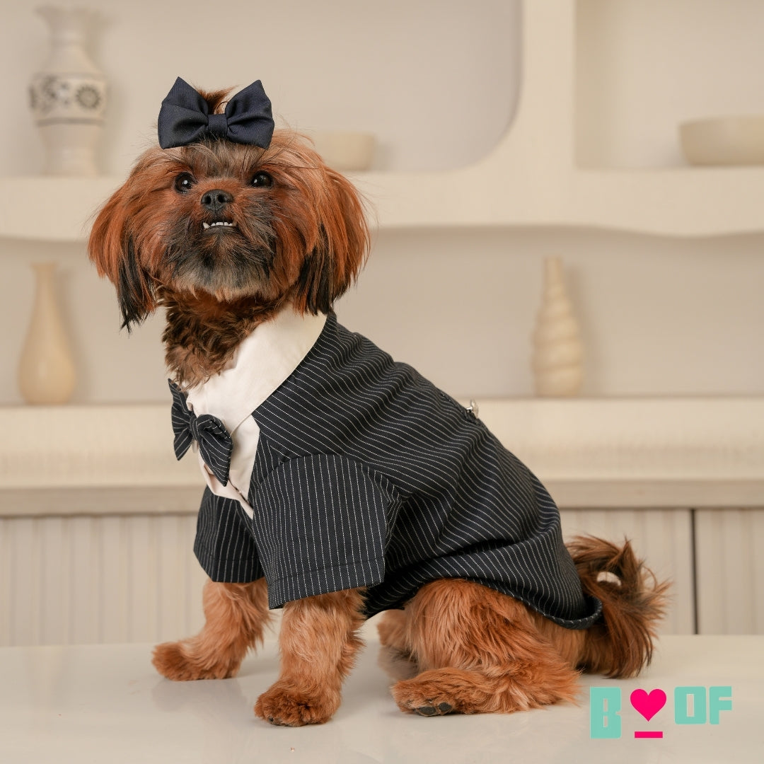 DOG TUXEDO
