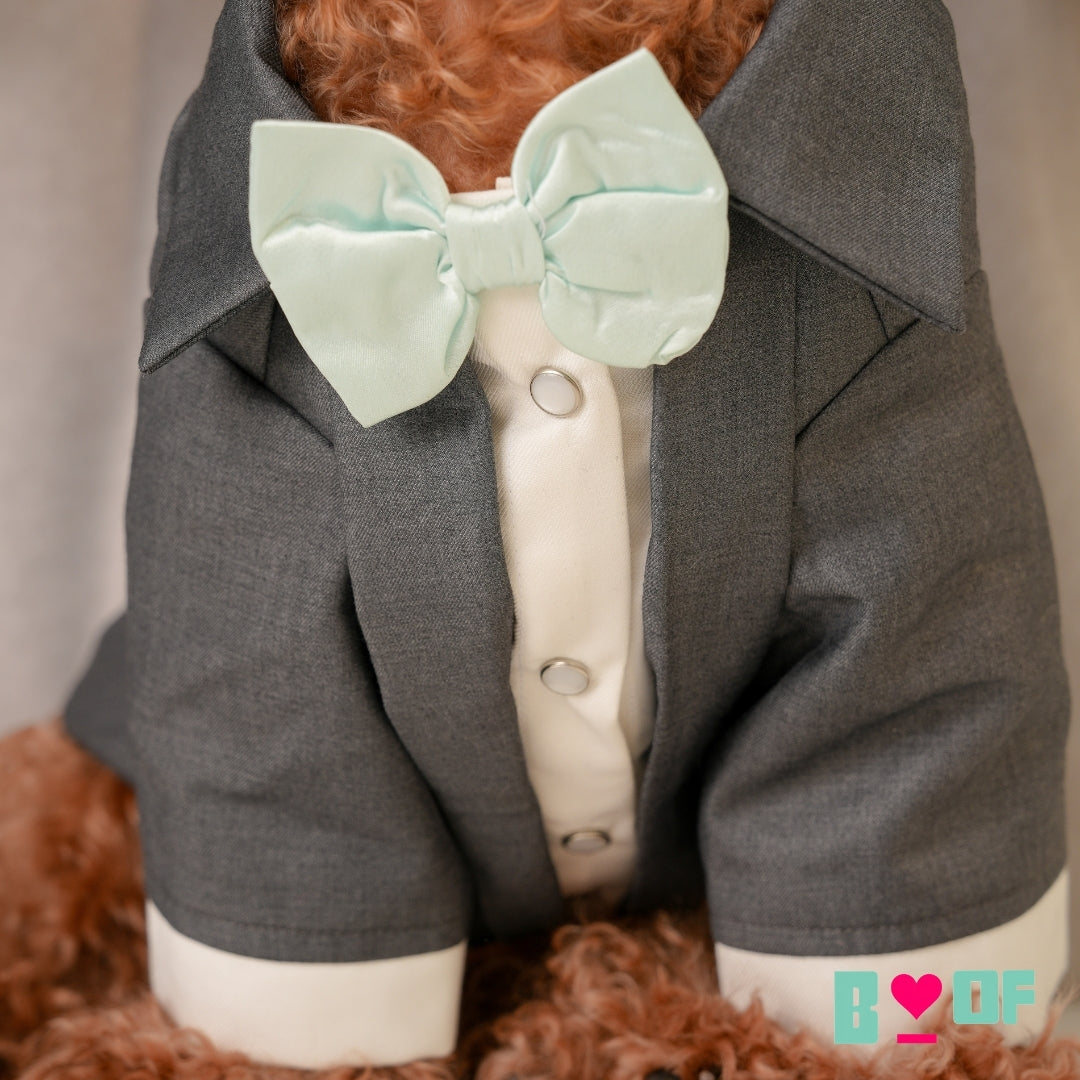 FORMAL GREY DOG TUXEDO