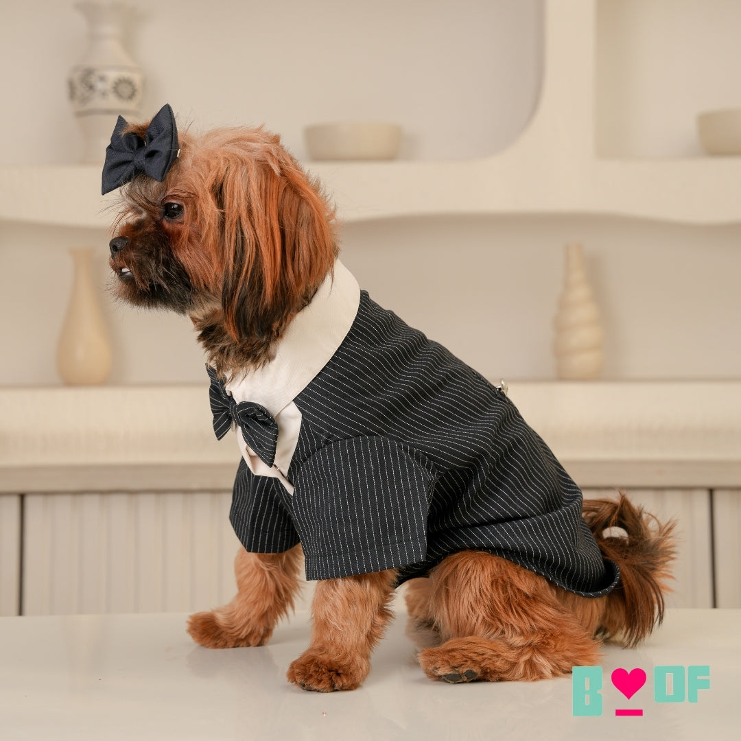 BLACK STRIPES DOG TUXEDO