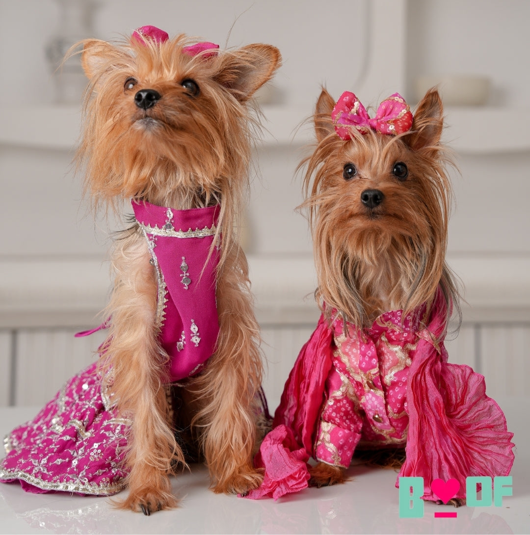 SHADES OF PINK DOG KURTA