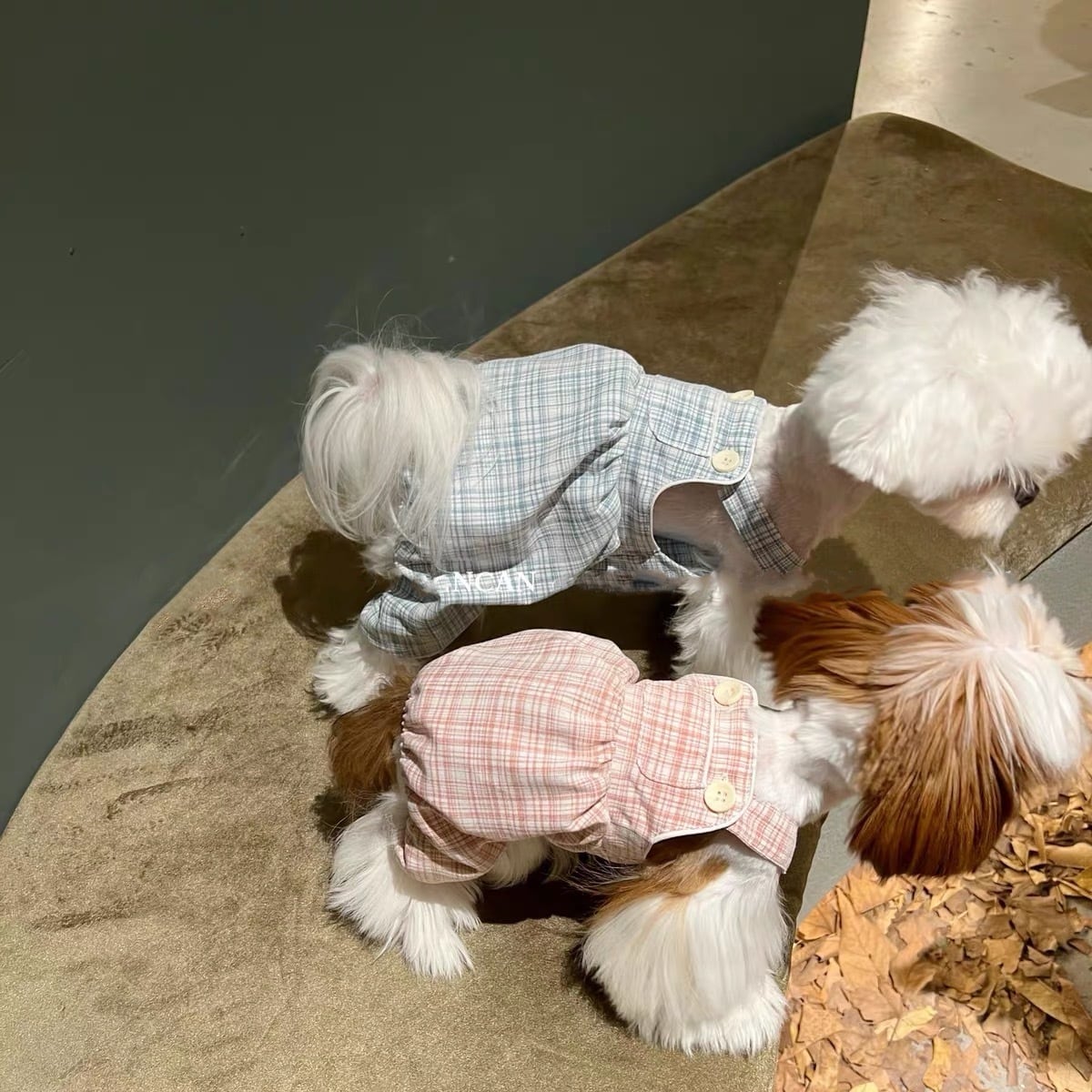 PASTEL CHECK DOG ONESIE