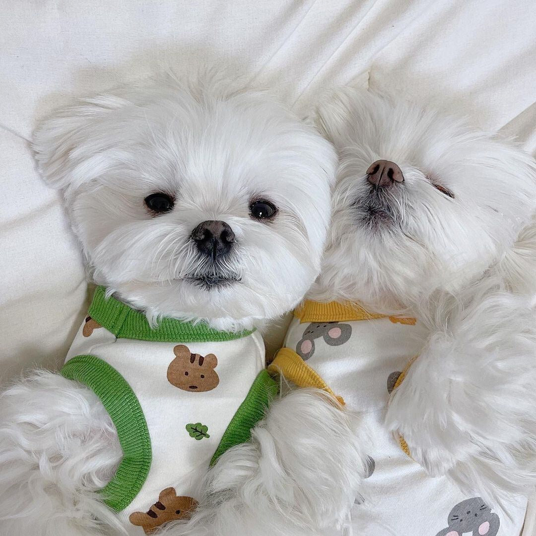 ANIMAL PRINT DOG T-SHIRT