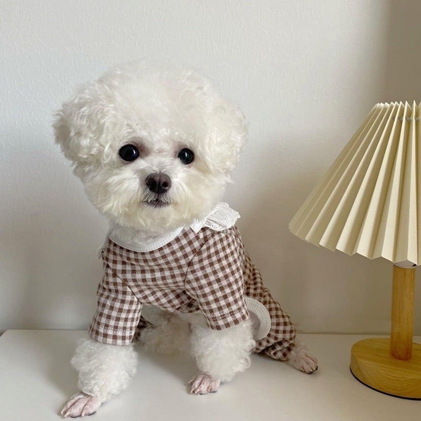 GINGHAM CHECK BIB DOG ONESIE