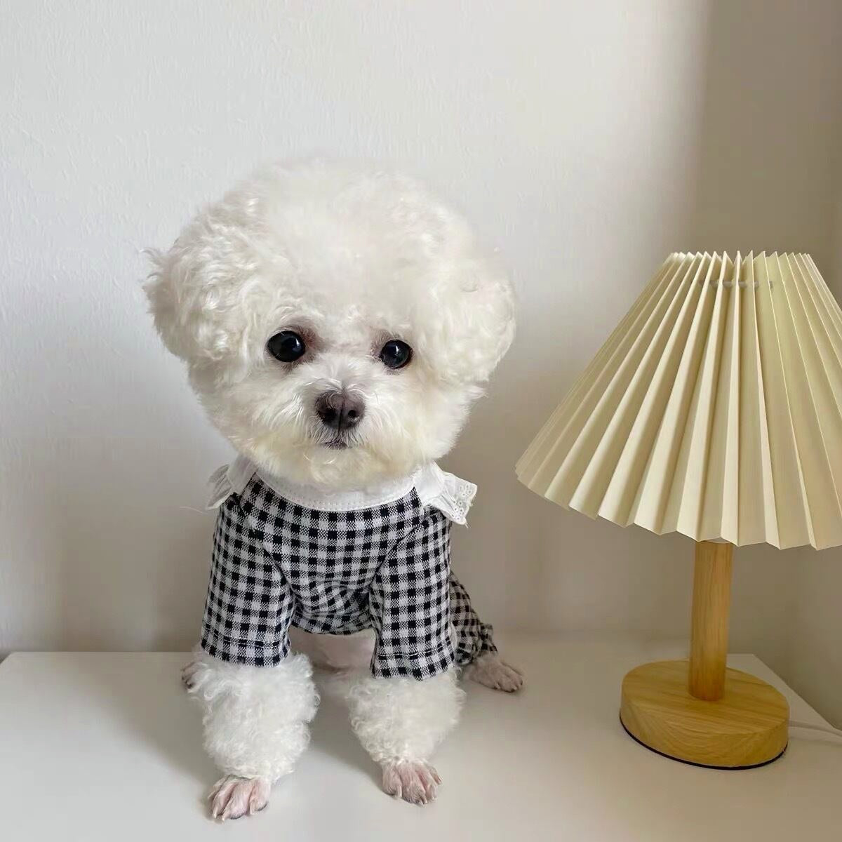 GINGHAM CHECK BIB DOG ONESIE