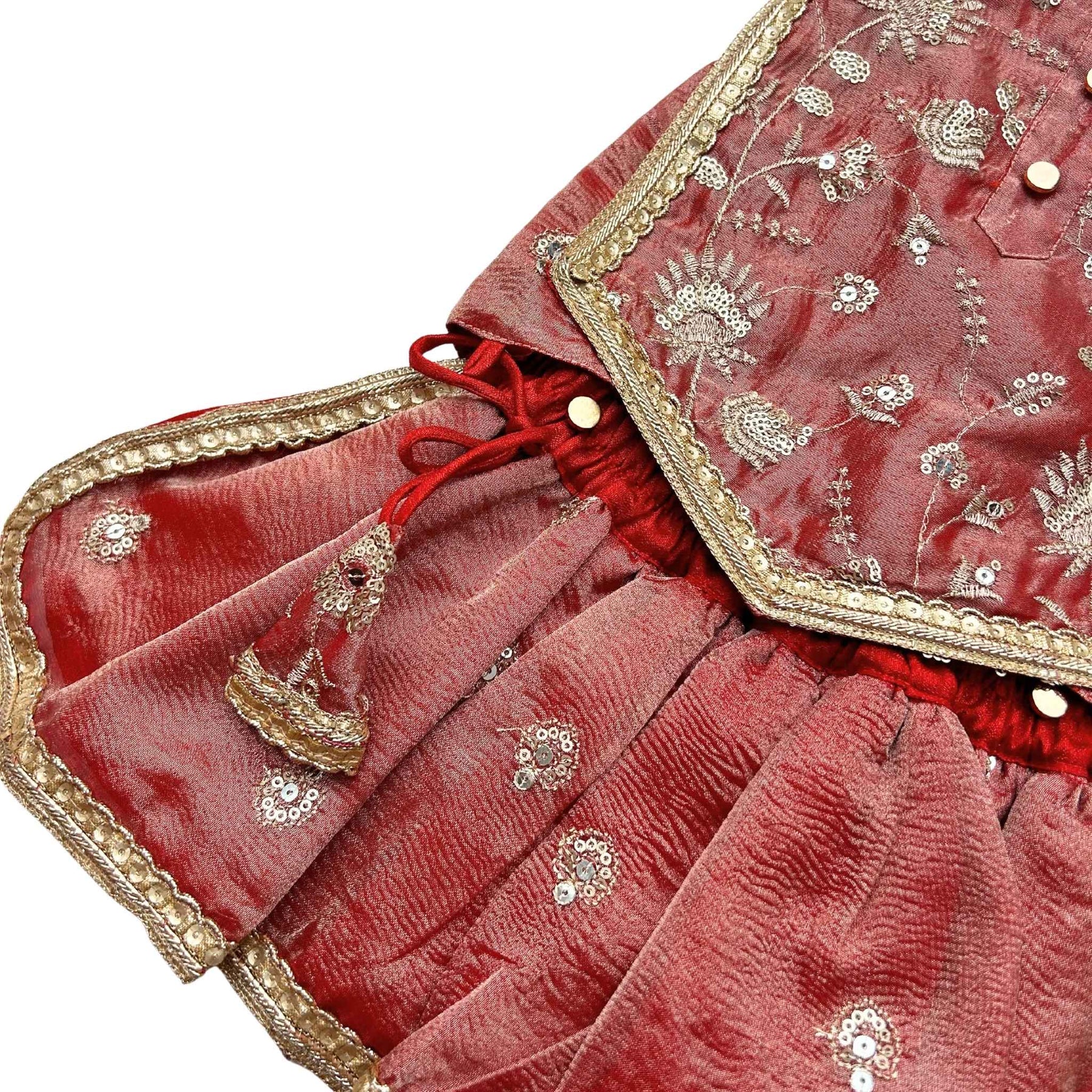 RED TISSUE FLORAL SEQUINS LEHENGA FOR DOGS AND CATS