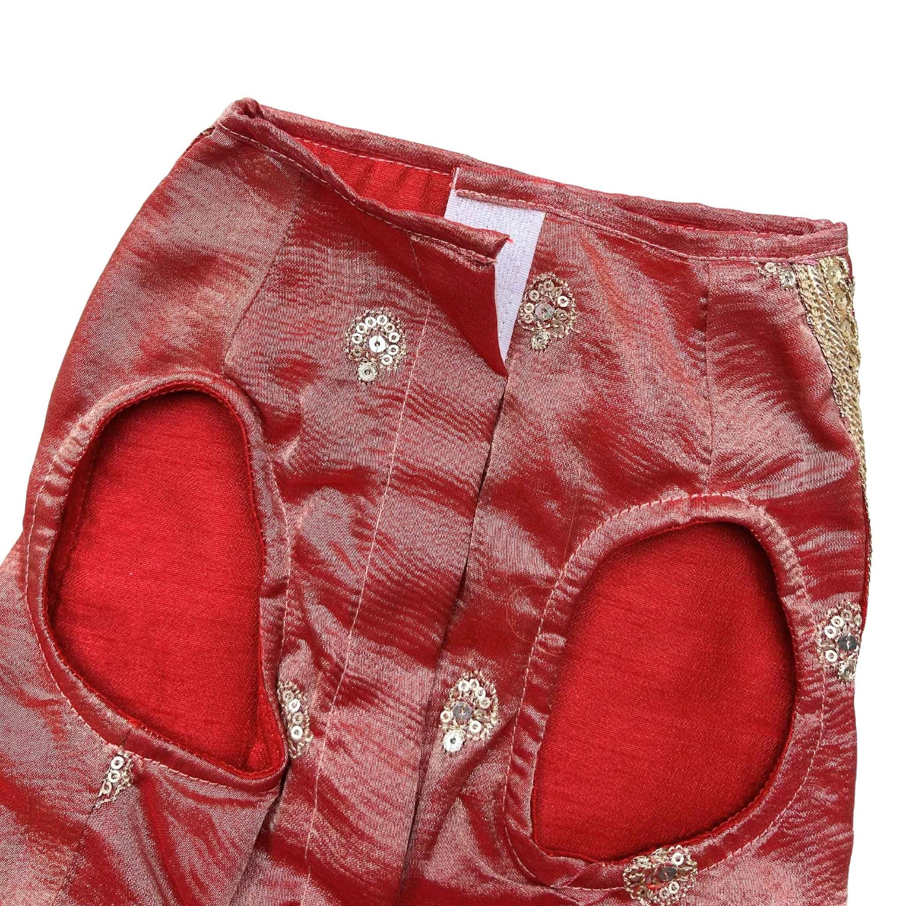 RED TISSUE FLORAL SEQUINS LEHENGA FOR DOGS AND CATS