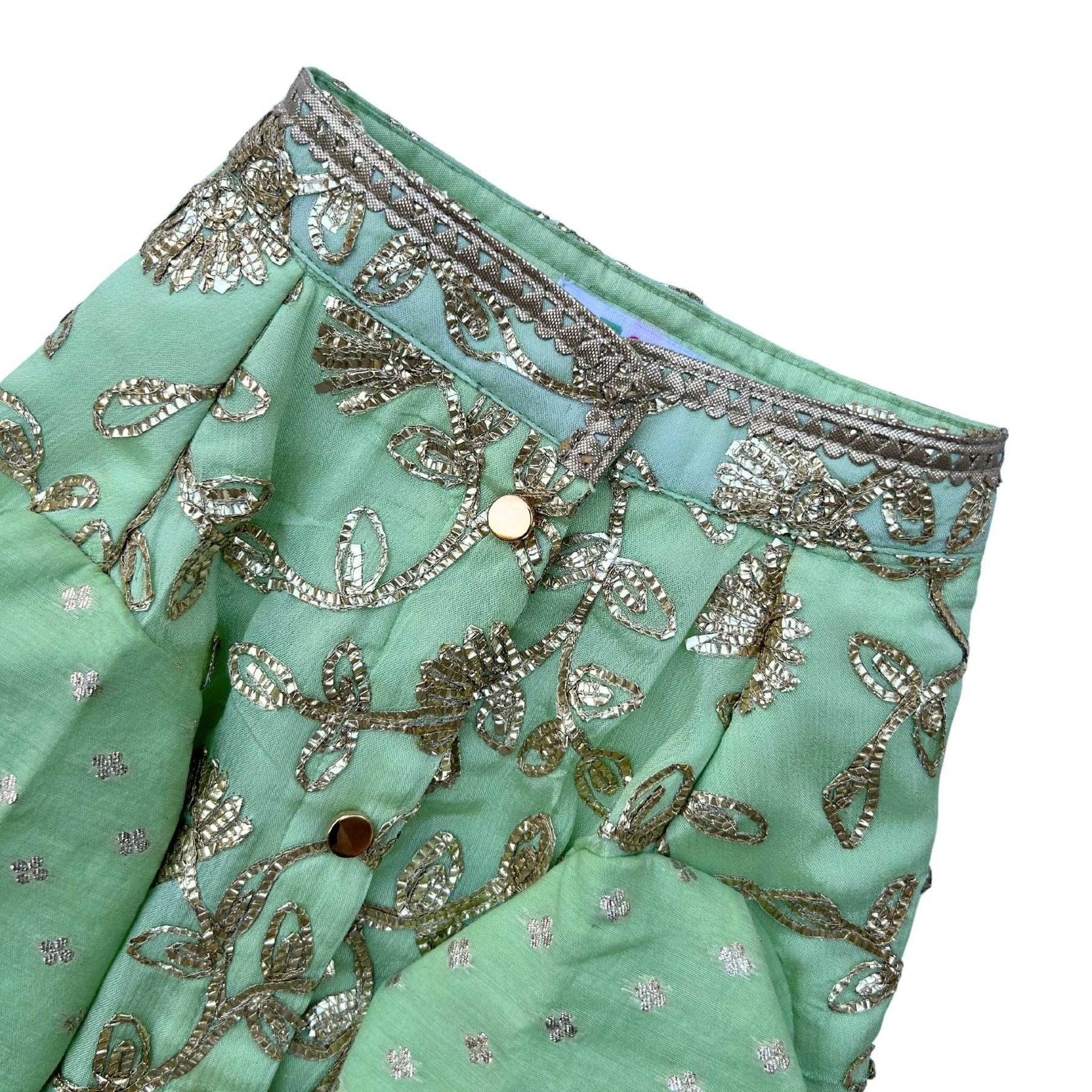 PASTEL GREEN GOTA EMBROIDERY WAISTCOAT STYLE DOG KURTA