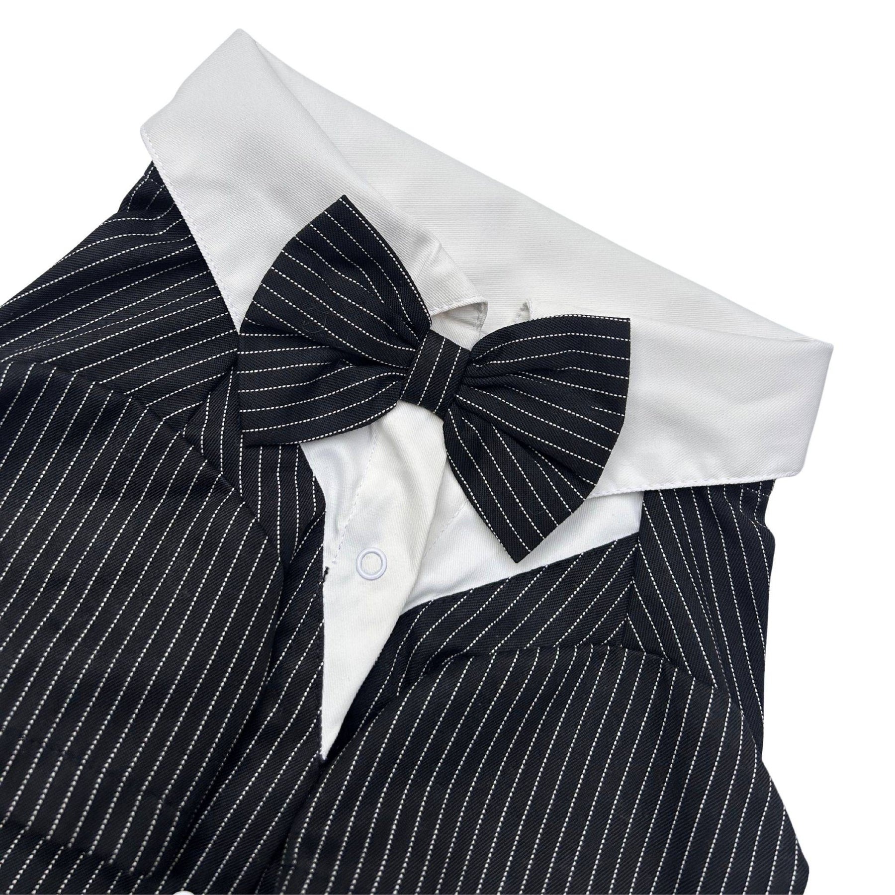BLACK STRIPES DOG TUXEDO