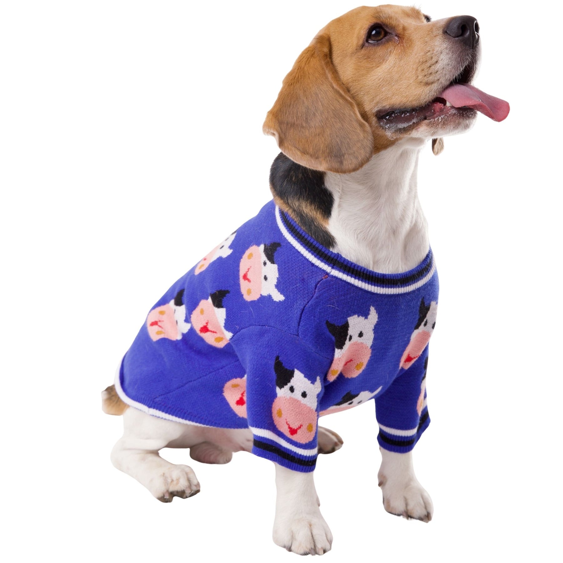 MOO DOG SWEATER
