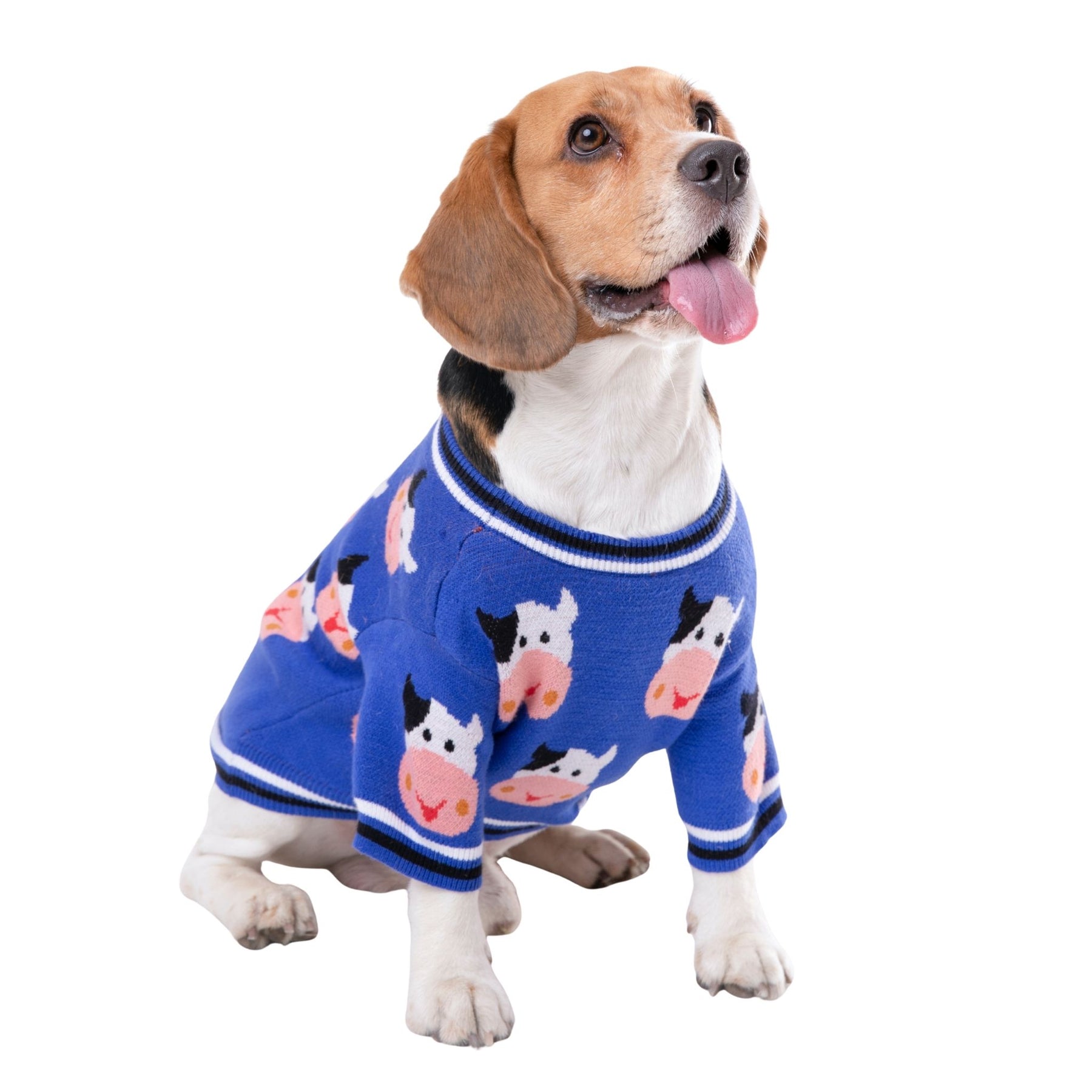 MOO DOG SWEATER