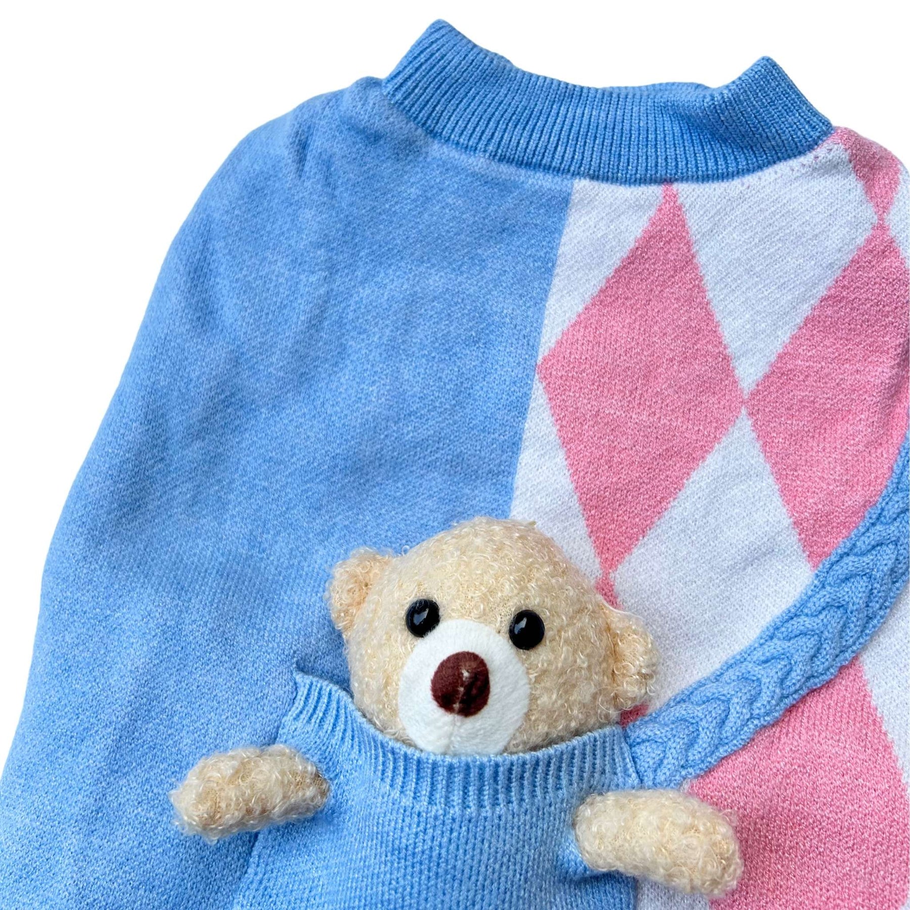 BLUE PINK TEDDY DOG SWEATER