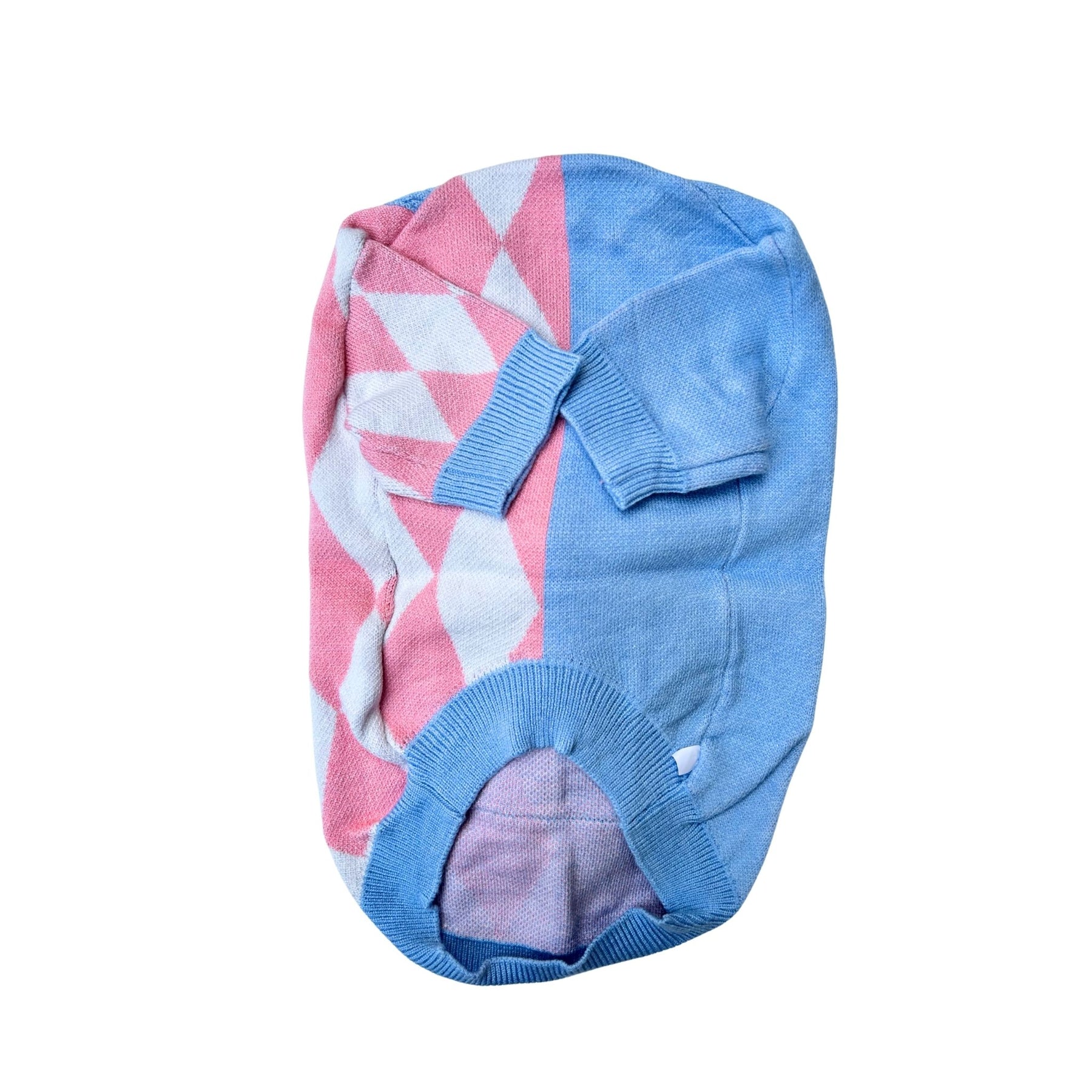 BLUE PINK TEDDY DOG SWEATER