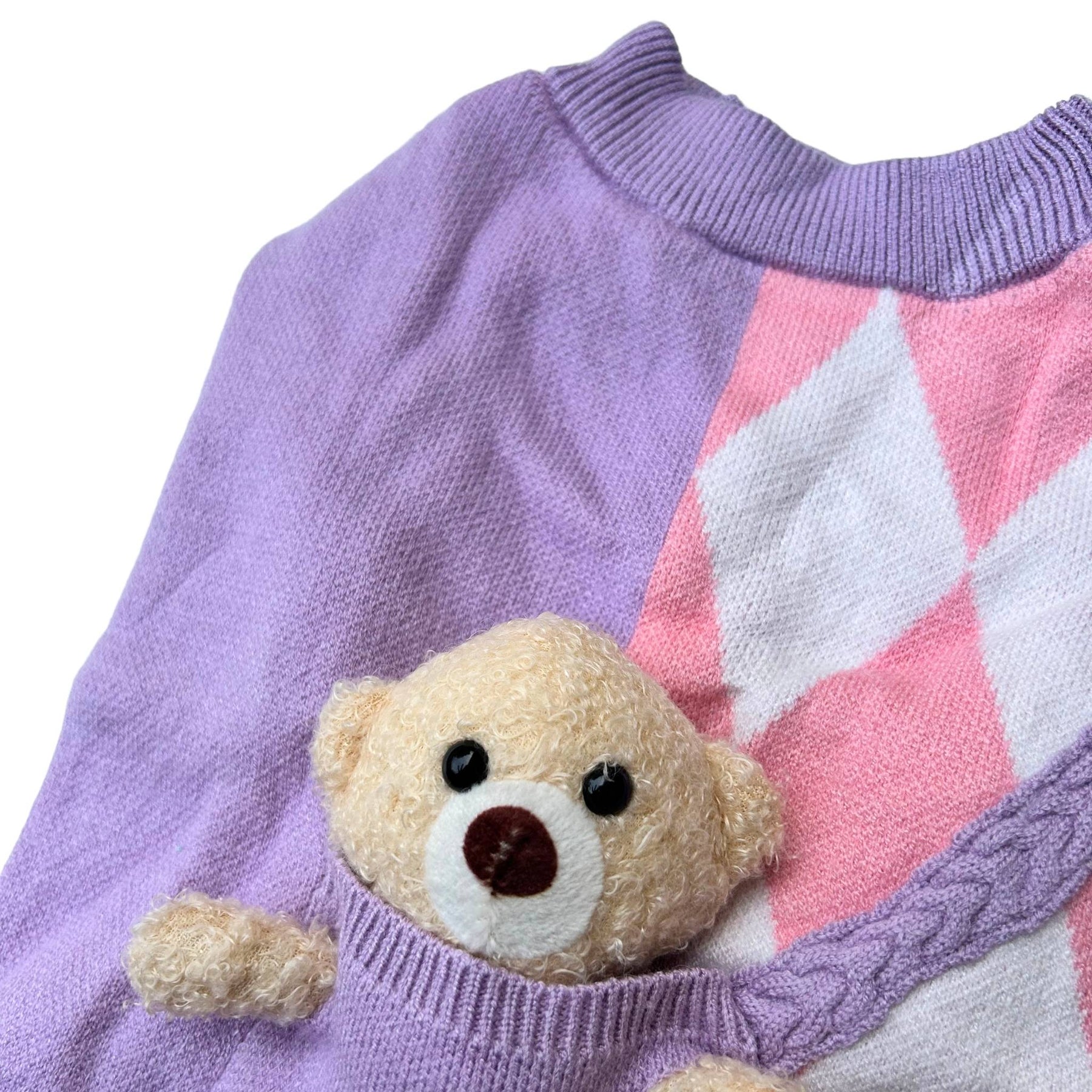 PURPLE PINK TEDDY DOG SWEATER