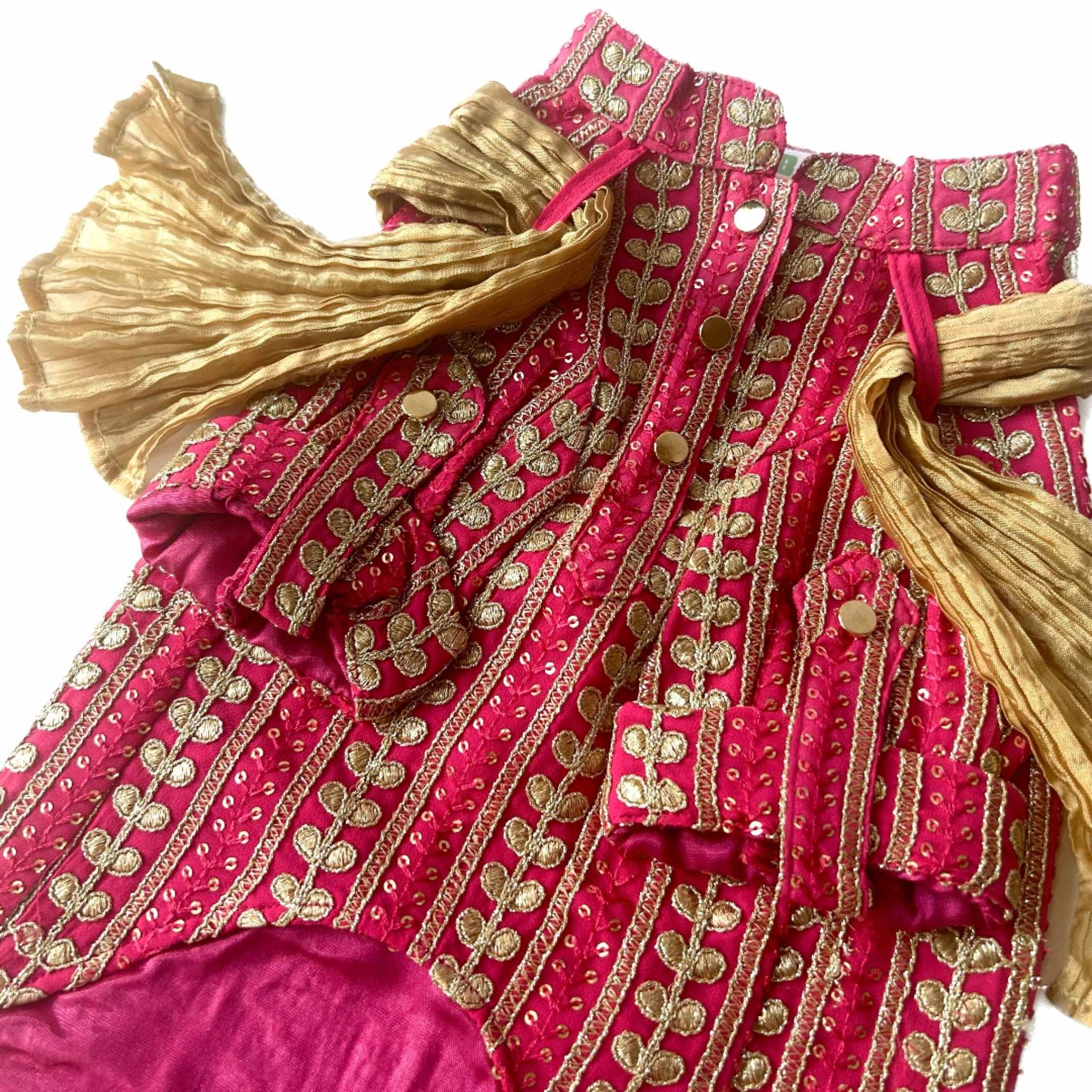 FUCHSIA LEAF DOG KURTA
