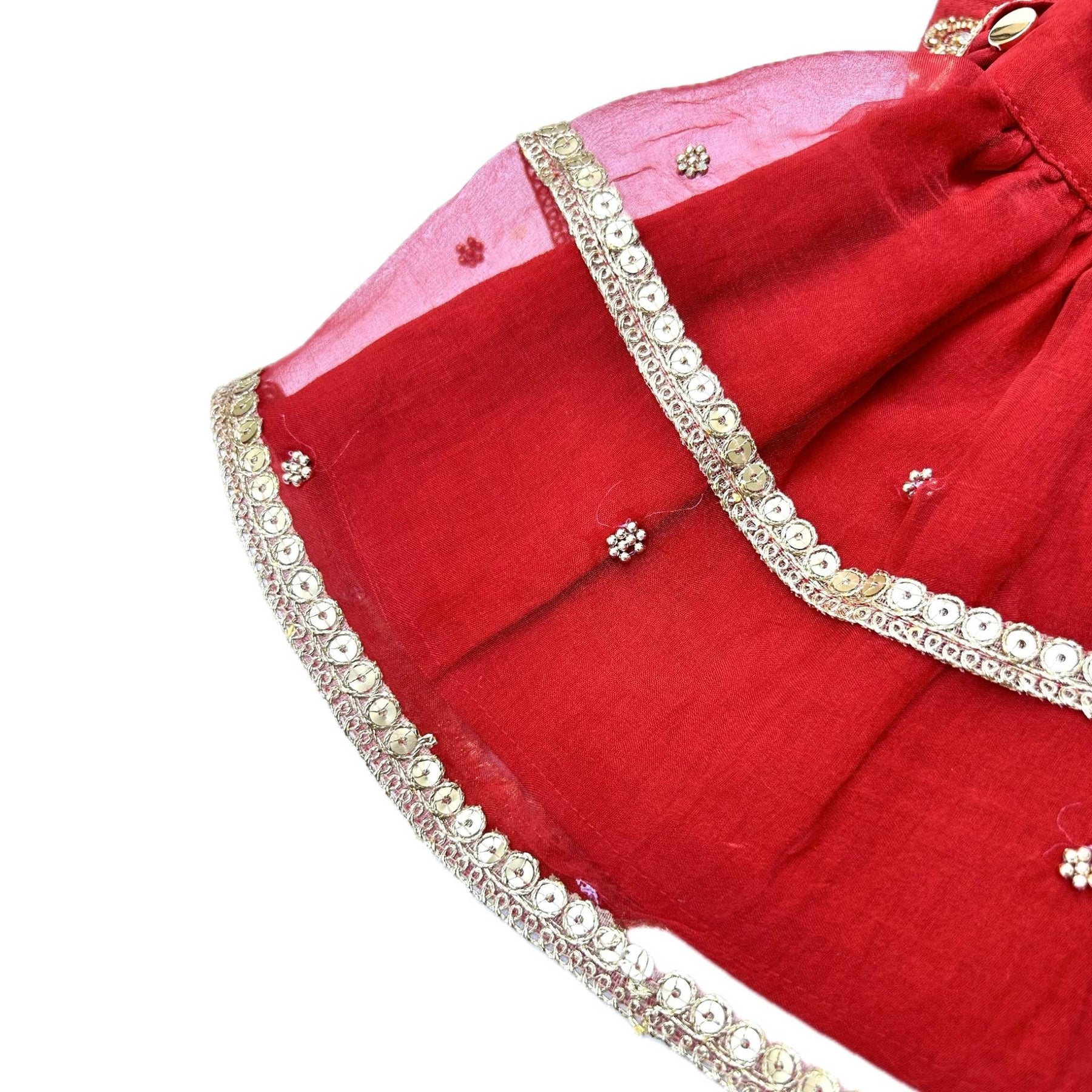 RED HAND EMBROIDERED GOLD FLOWERS DOG LEHENGA