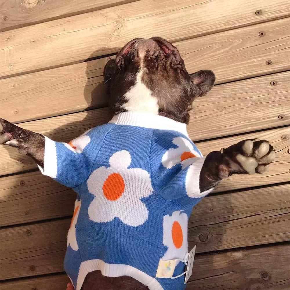 BLUE BLOSSOM DOG SWEATER