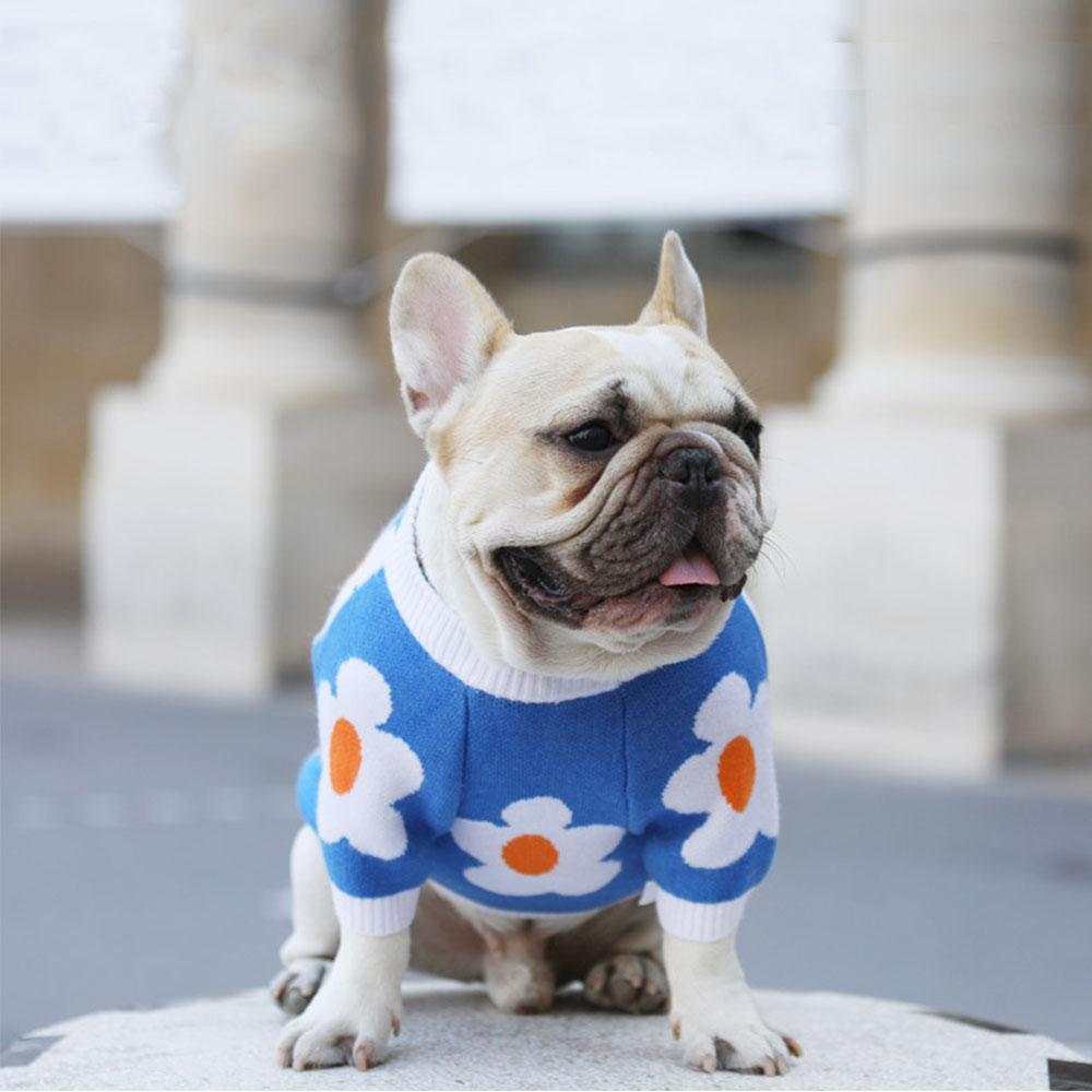 BLUE BLOSSOM DOG SWEATER