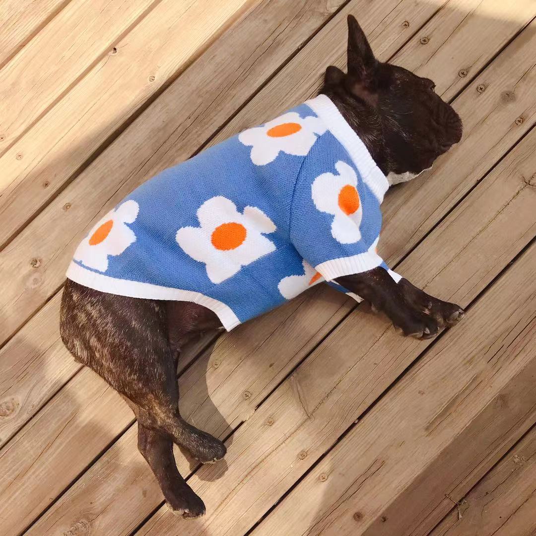 BLUE BLOSSOM DOG SWEATER