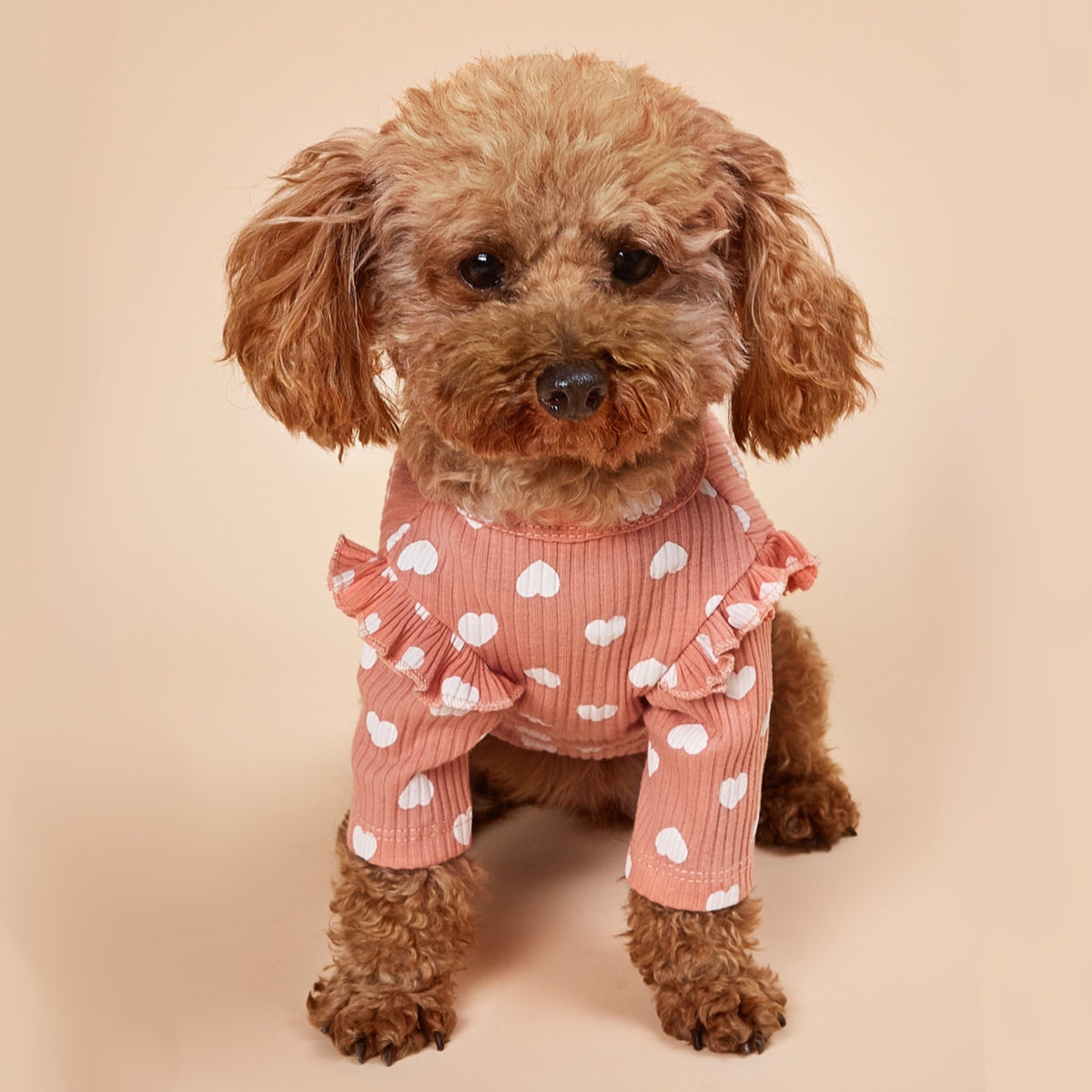 THE L.O.V.E DOG T-SHIRT