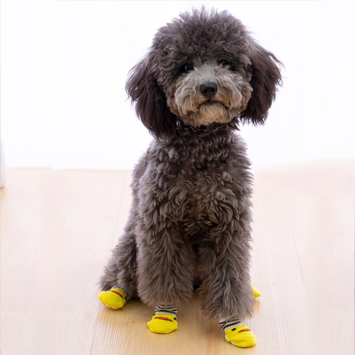 STRIPPED DUCKLING DOG SOCKS