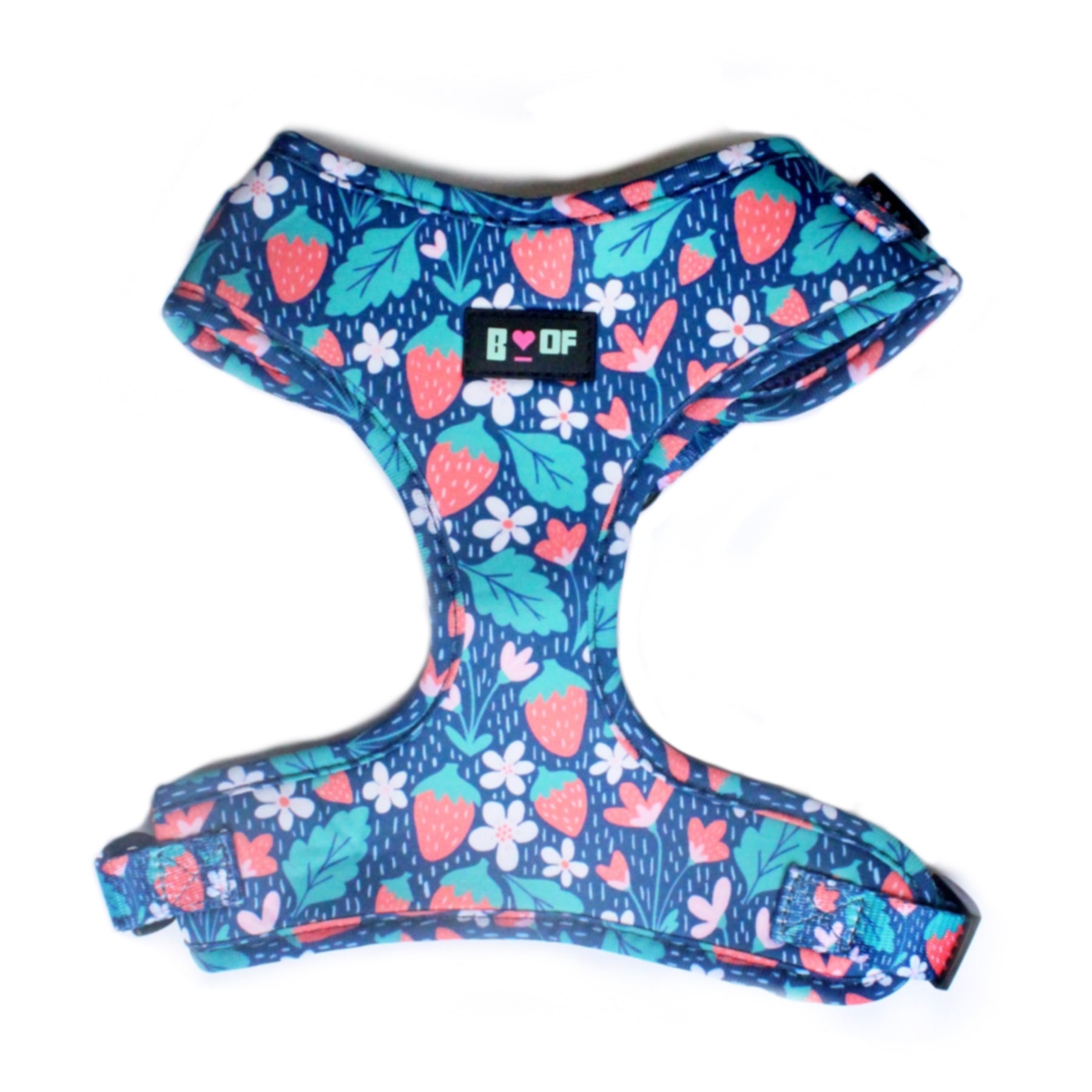 YOU’RE BERRY SPECIAL DOG HARNESS