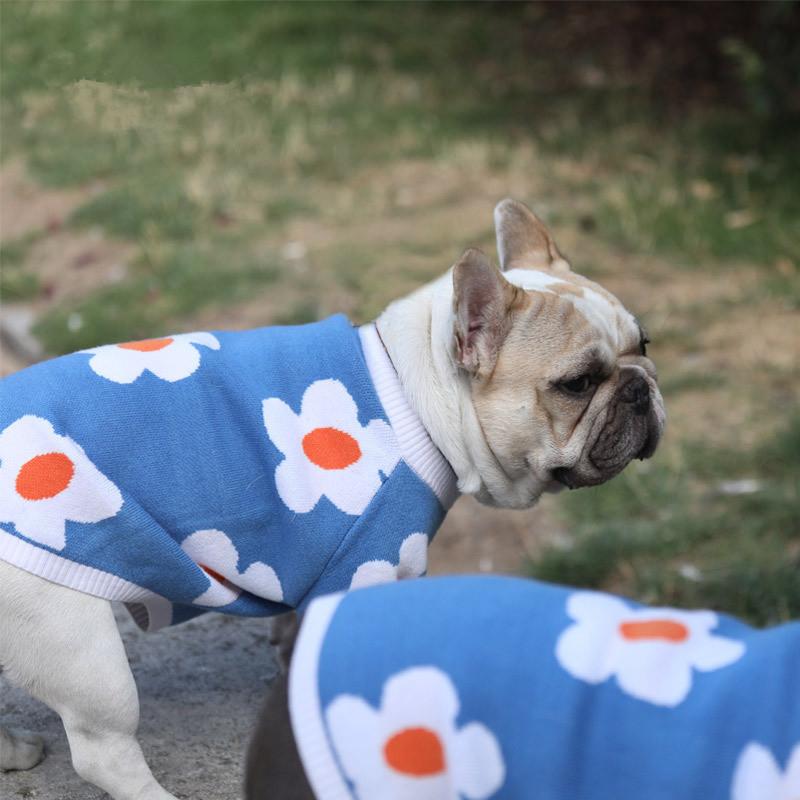 BLUE BLOSSOM DOG SWEATER