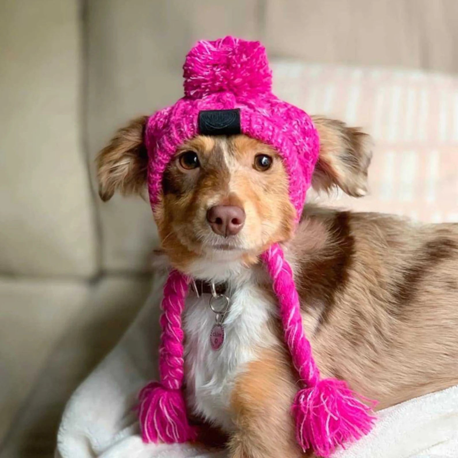 WINTER POM POM DOG HAT