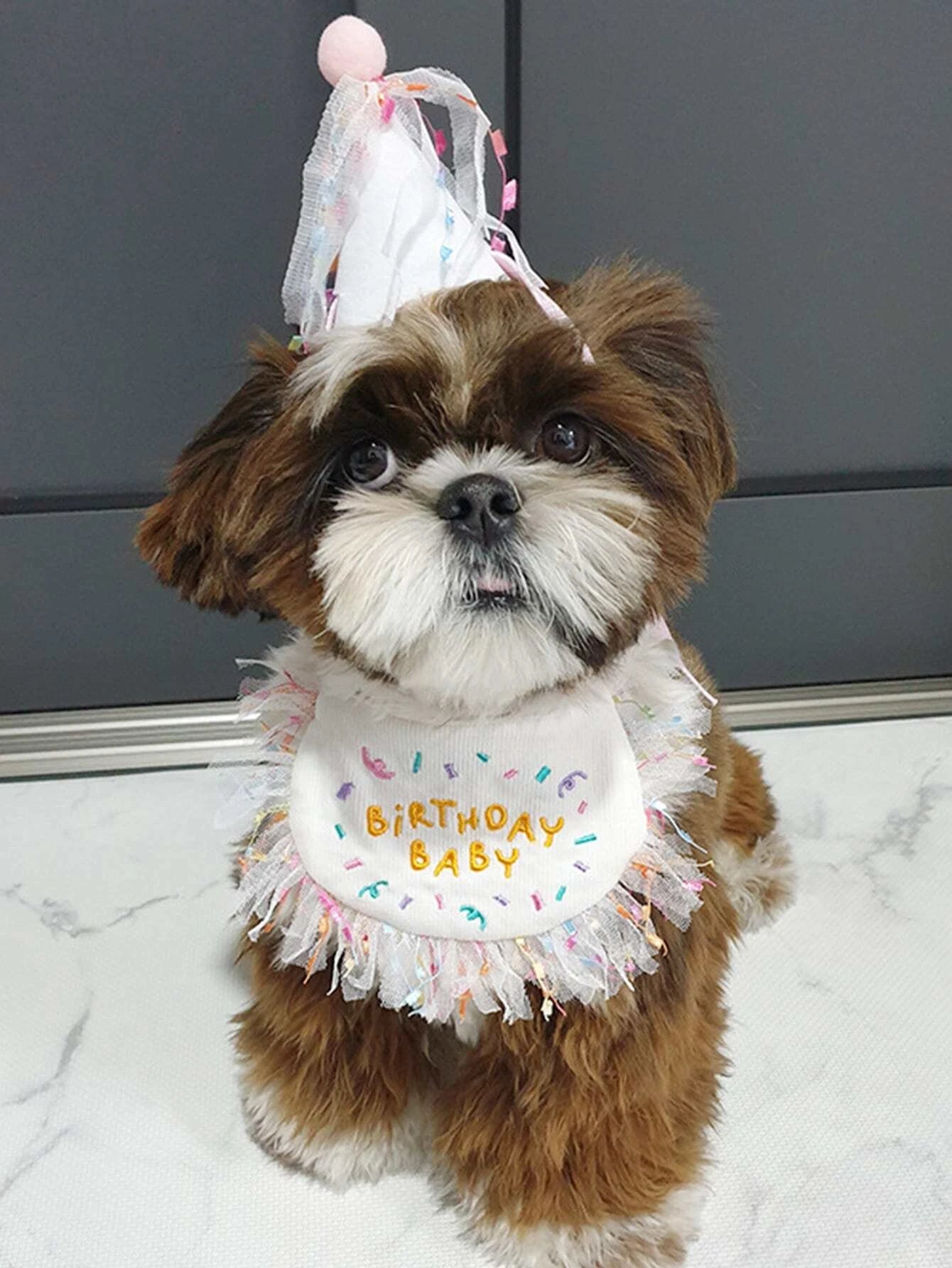 BIRTHDAY DOG BIB AND CAP