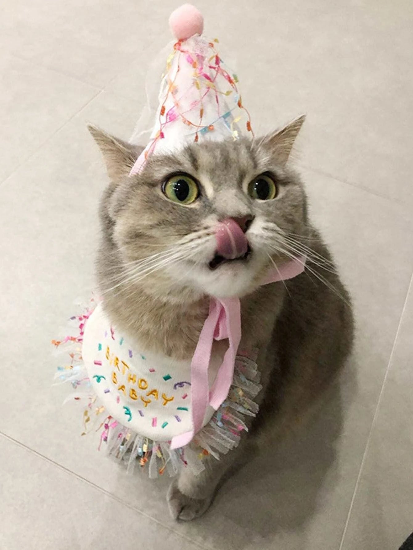BIRTHDAY DOG BIB AND CAP