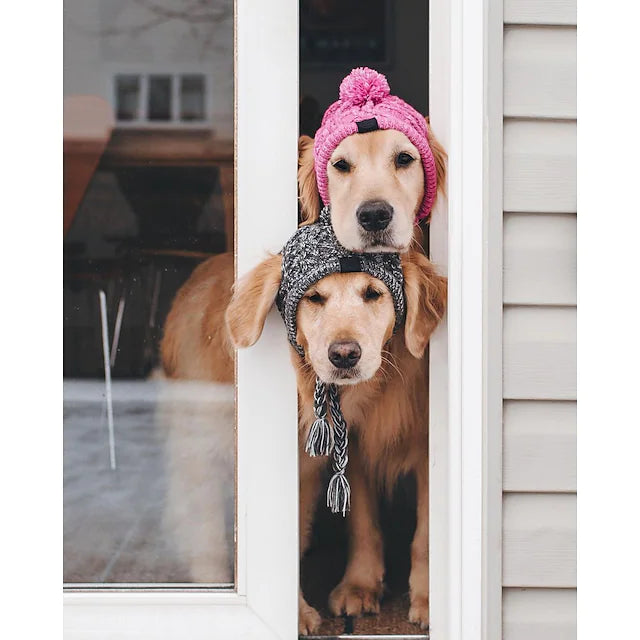 WINTER POM POM DOG HAT