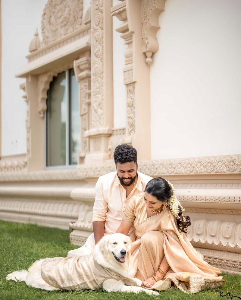 Best Wedding outfits for Dogs