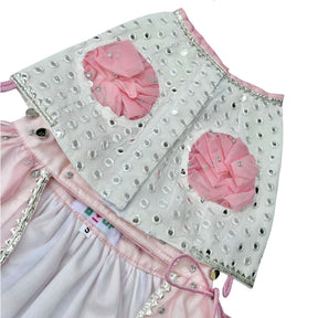 MIRROR WORK PINK DOG LEHENGA