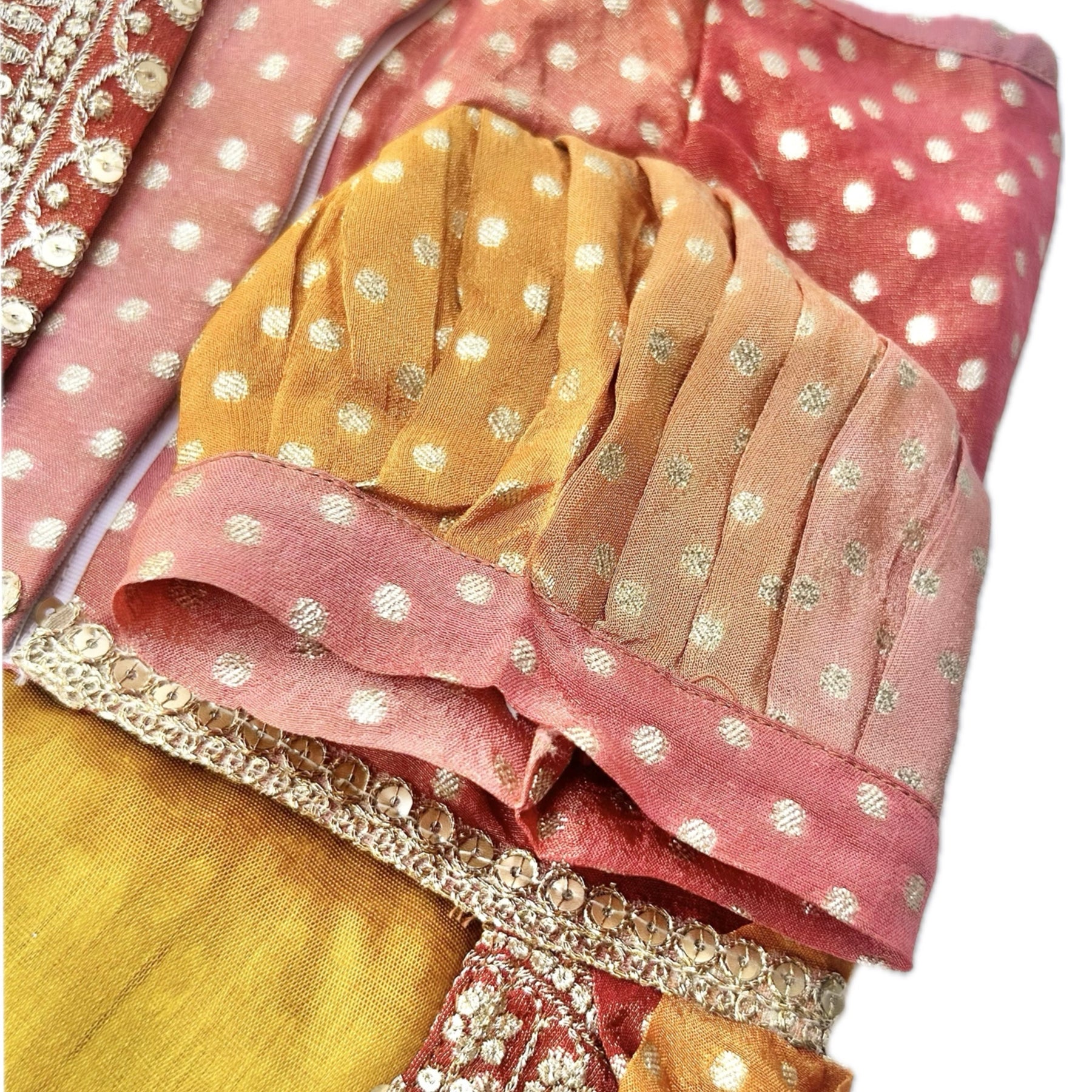 ORANGE BROCADE BORDER DOG SAREE