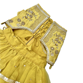 YELLOW HAND EMBROIDERED GOLD FLOWERS DOG LEHENGA