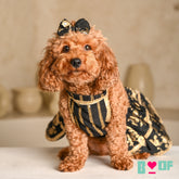 BLACK GOLD BROCADE LEHENGA FOR DOGS AND CATS