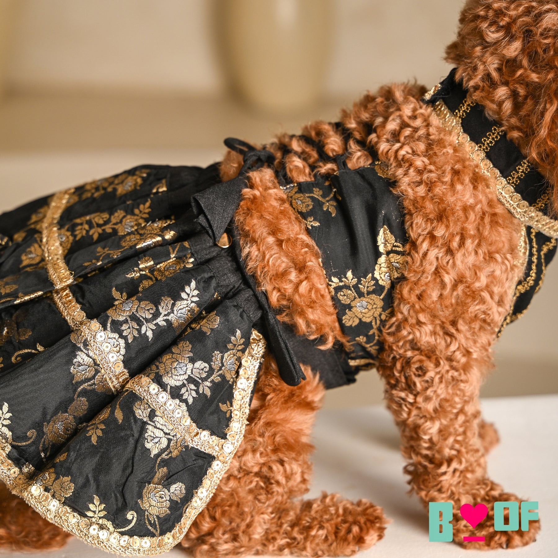 BLACK GOLD BROCADE LEHENGA FOR DOGS AND CATS