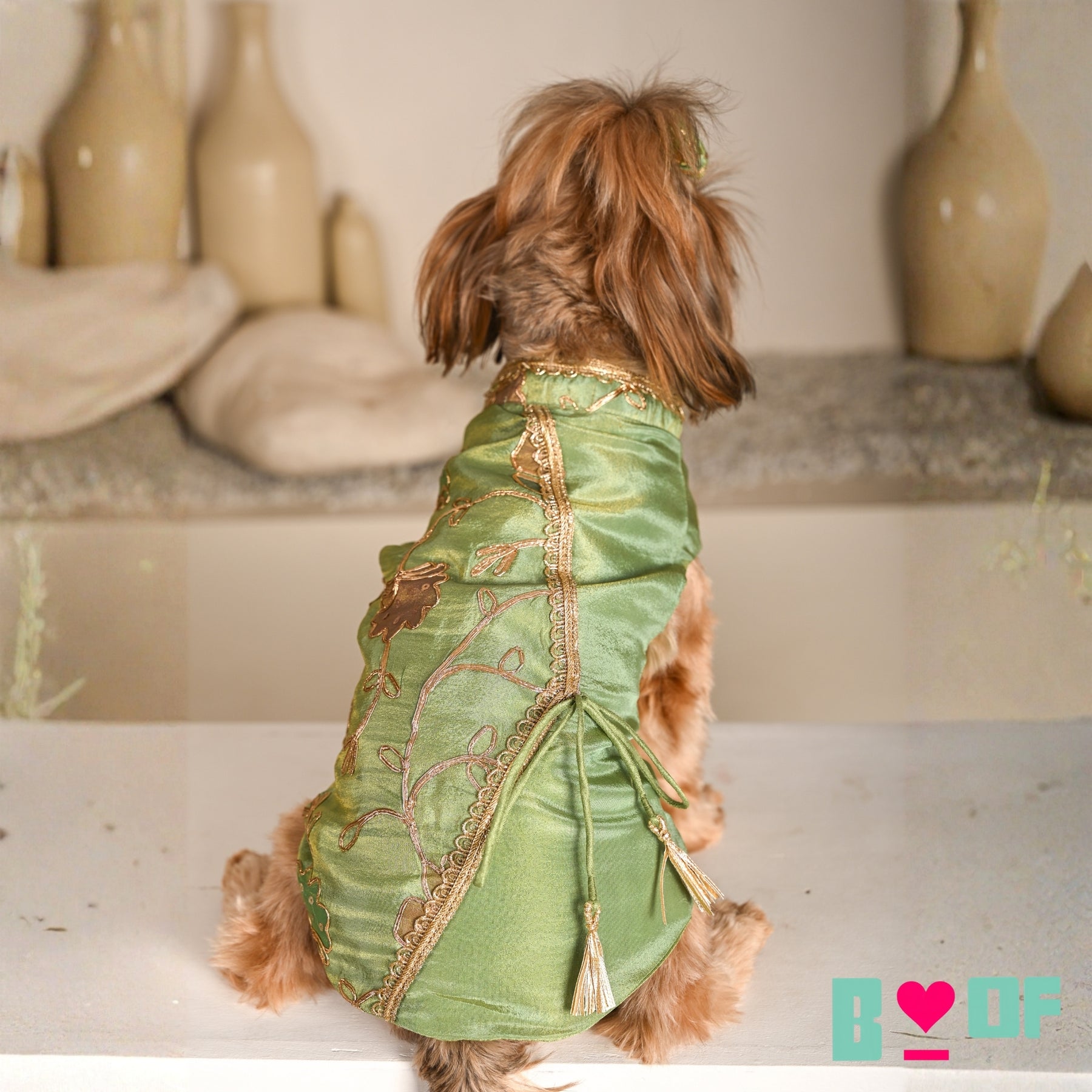 PISTA GREEN GOTA PHOOL WAISTCOAT FOR DOGS AND CATS