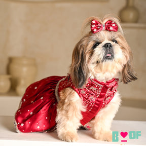 BUTTERFLY SPARKLE HAND EMBROIDERED TUTU DRESS FOR DOGS AND CATS