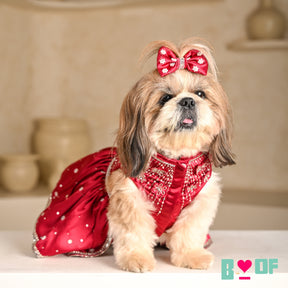 BUTTERFLY SPARKLE HAND EMBROIDERED TUTU DRESS FOR DOGS AND CATS