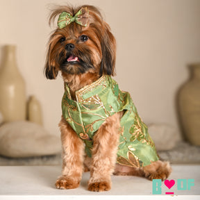 PISTA GREEN GOTA PHOOL WAISTCOAT FOR DOGS AND CATS