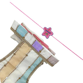 OFF WHITE MULTICOLOURED STRIPE LEHENGA + PINK WOOF PAW RAKHI FOR DOGS AND CATS