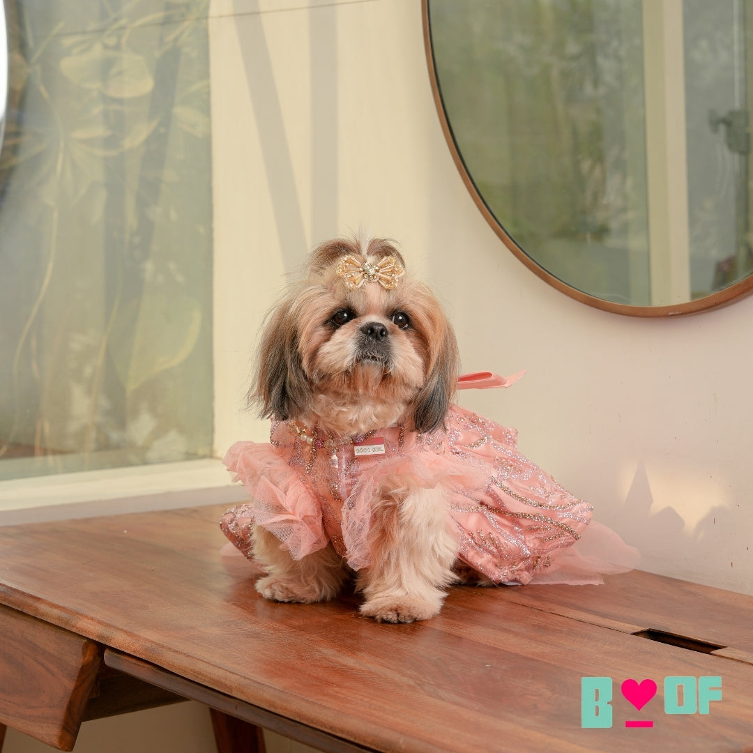princess dog dress Black Princess Dog Party Dress | Poshdoglife.com