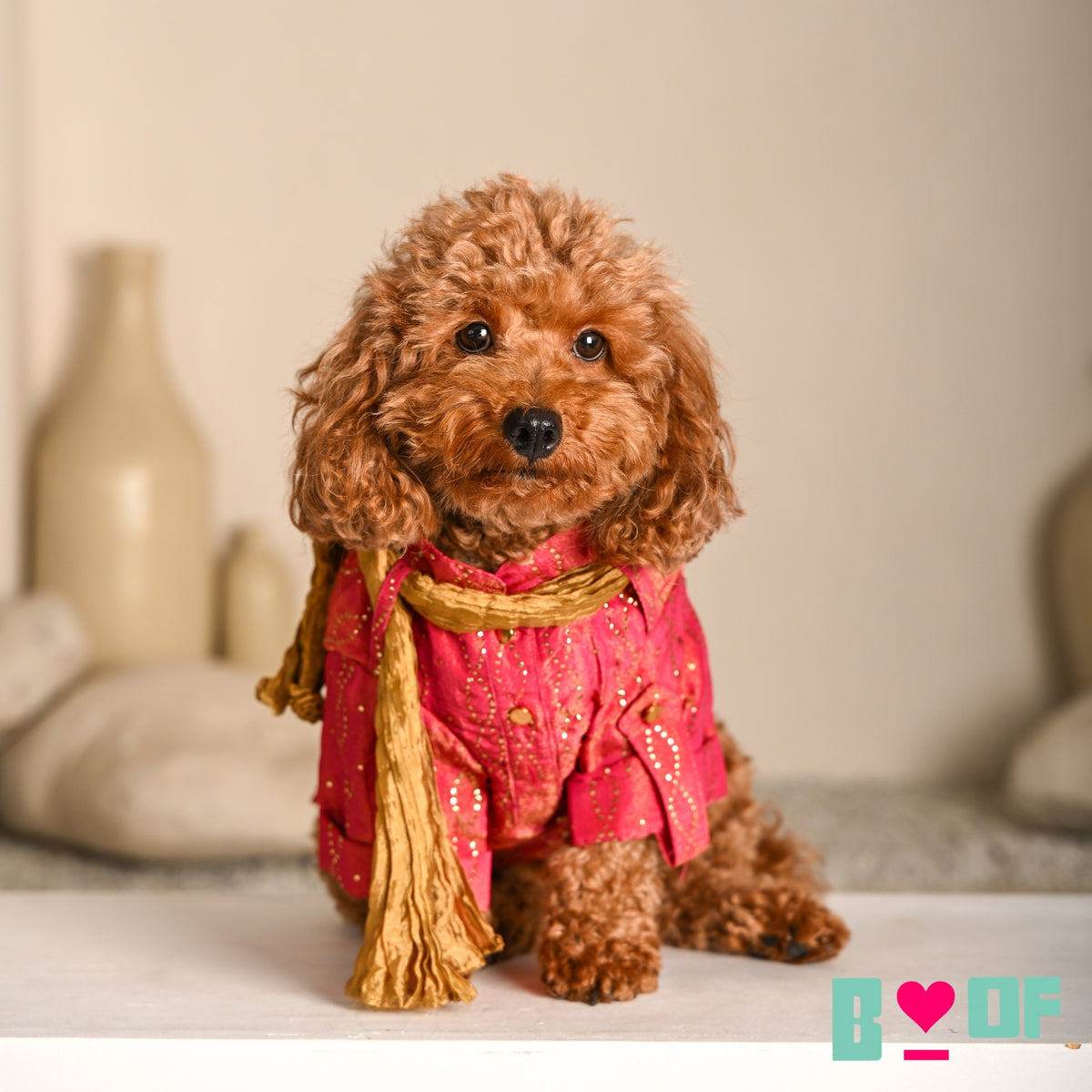 RUBY PINK MUKAISH WORK DOG KURTA