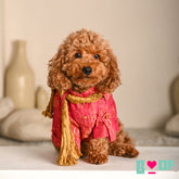 RUBY PINK MUKAISH WORK DOG KURTA