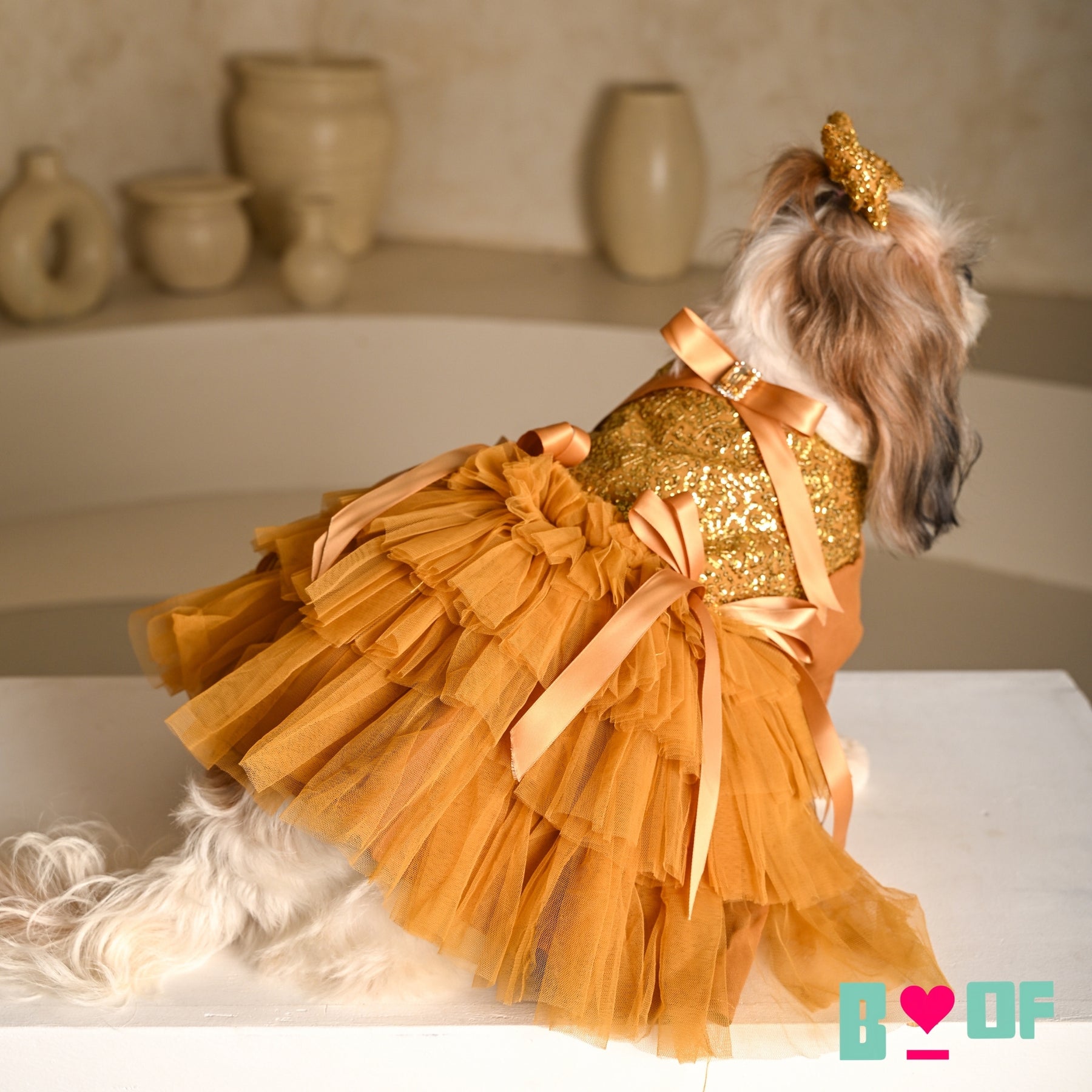GOLD SEQUINS GEMSTONE DOG DRESS