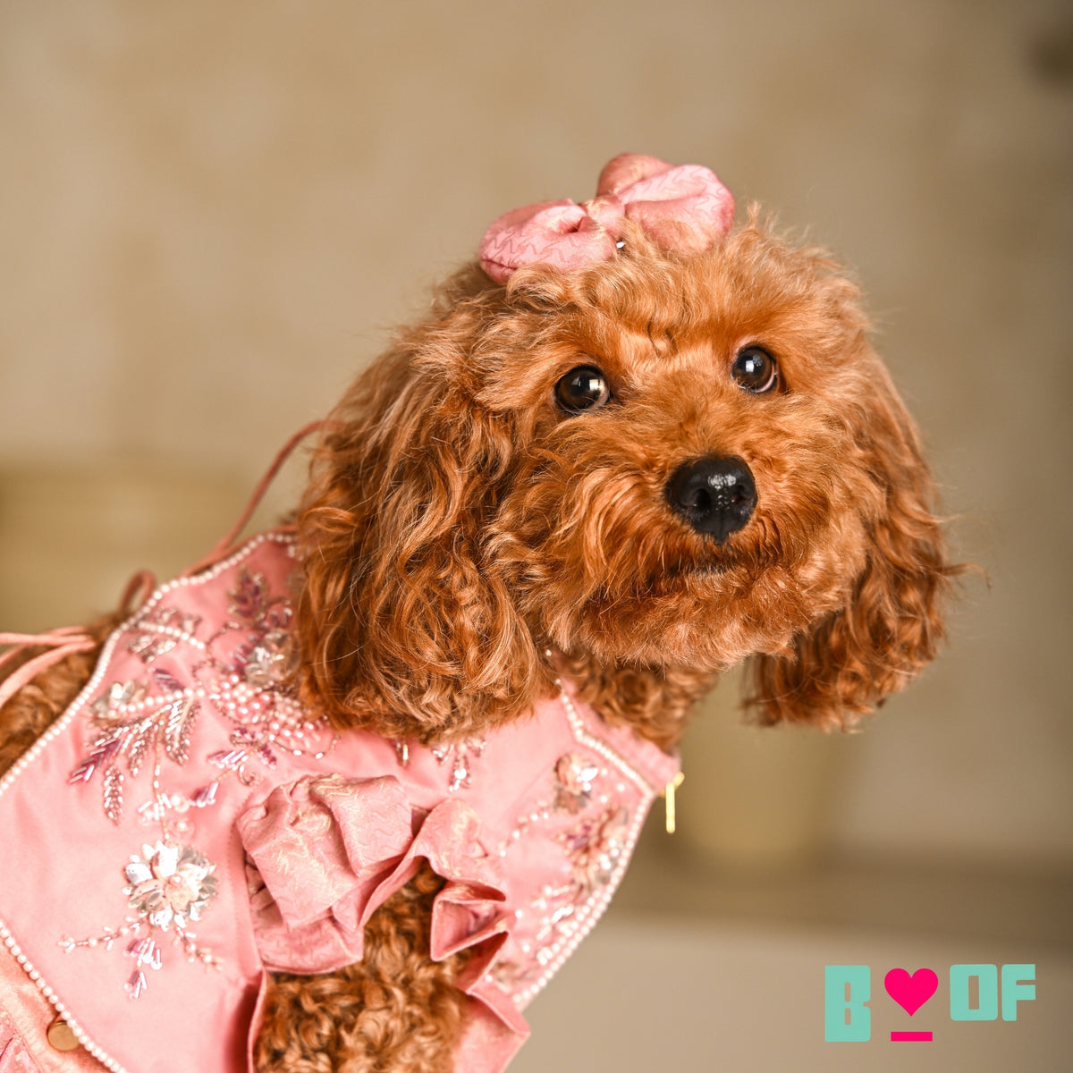 GULMARG PEARL PINK HAND EMBROIDERED DOG LEHENGA