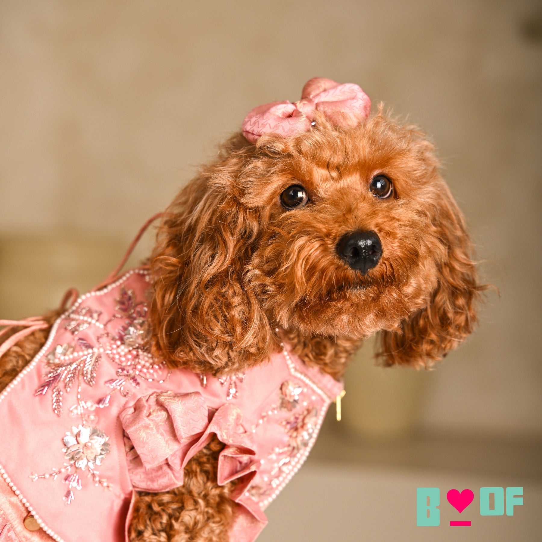 GULMARG PEARL PINK HAND EMBROIDERED DOG LEHENGA