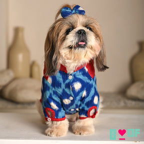 COLOUR BLOCK IKAT PRINTED COTTON KURTA FOR DOGS AND CATS