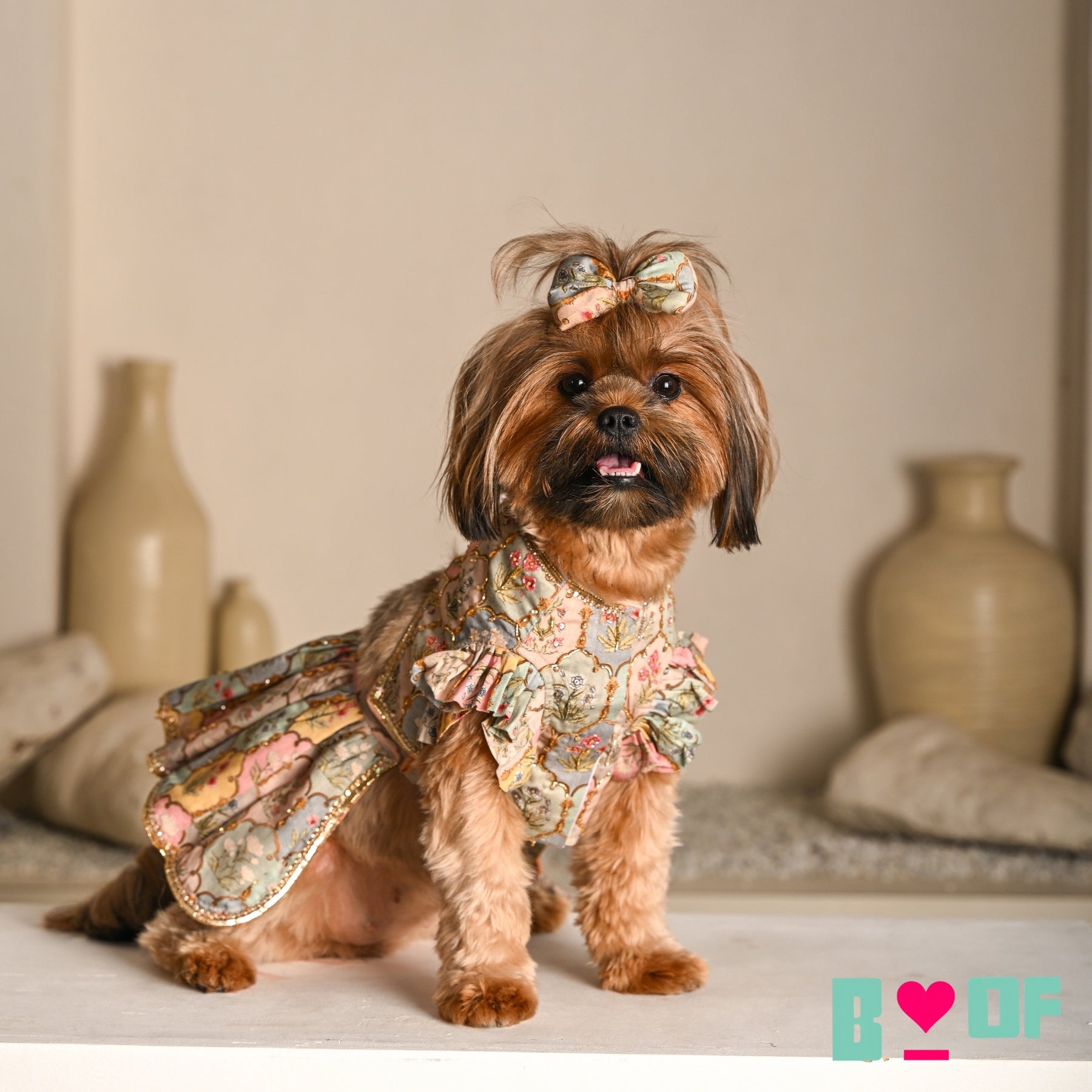 MAHARANI MOTIF DOG LEHENGA